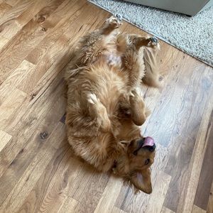 Meet your Posher, Alyssa